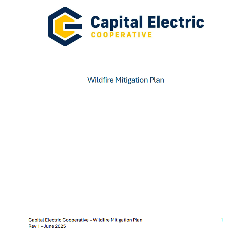 capital electric